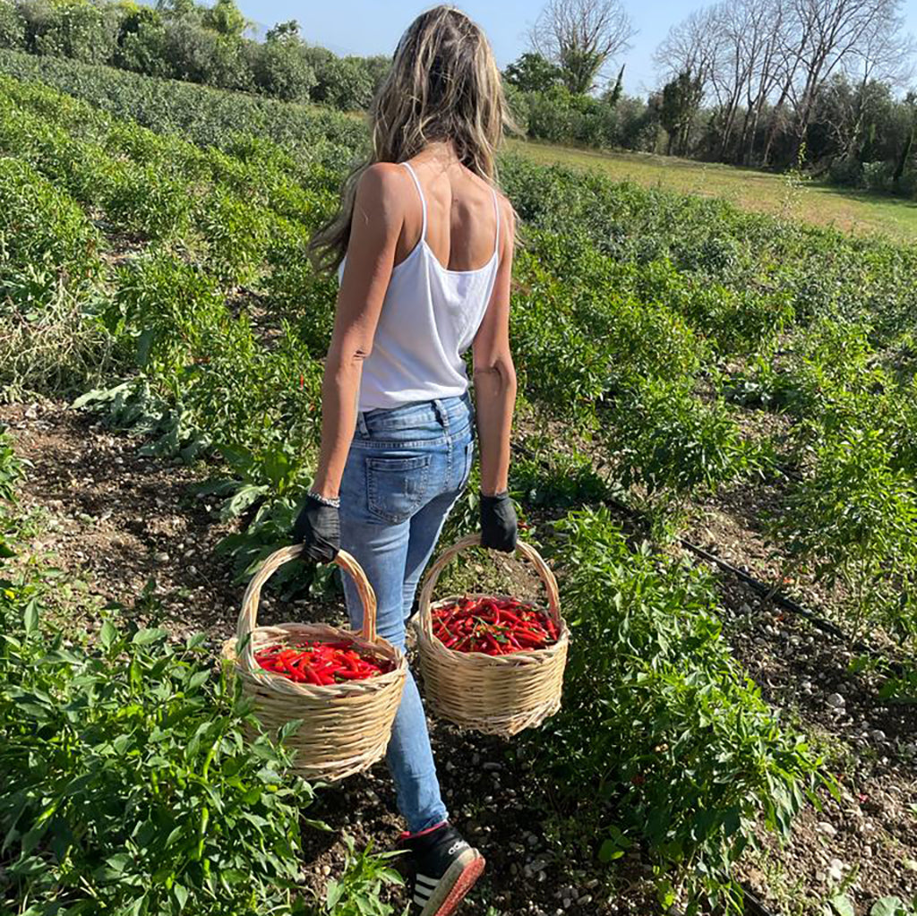 Italienischer Chili Bio eingelegt in Olivenöl aus Napoli von Di Bennardo