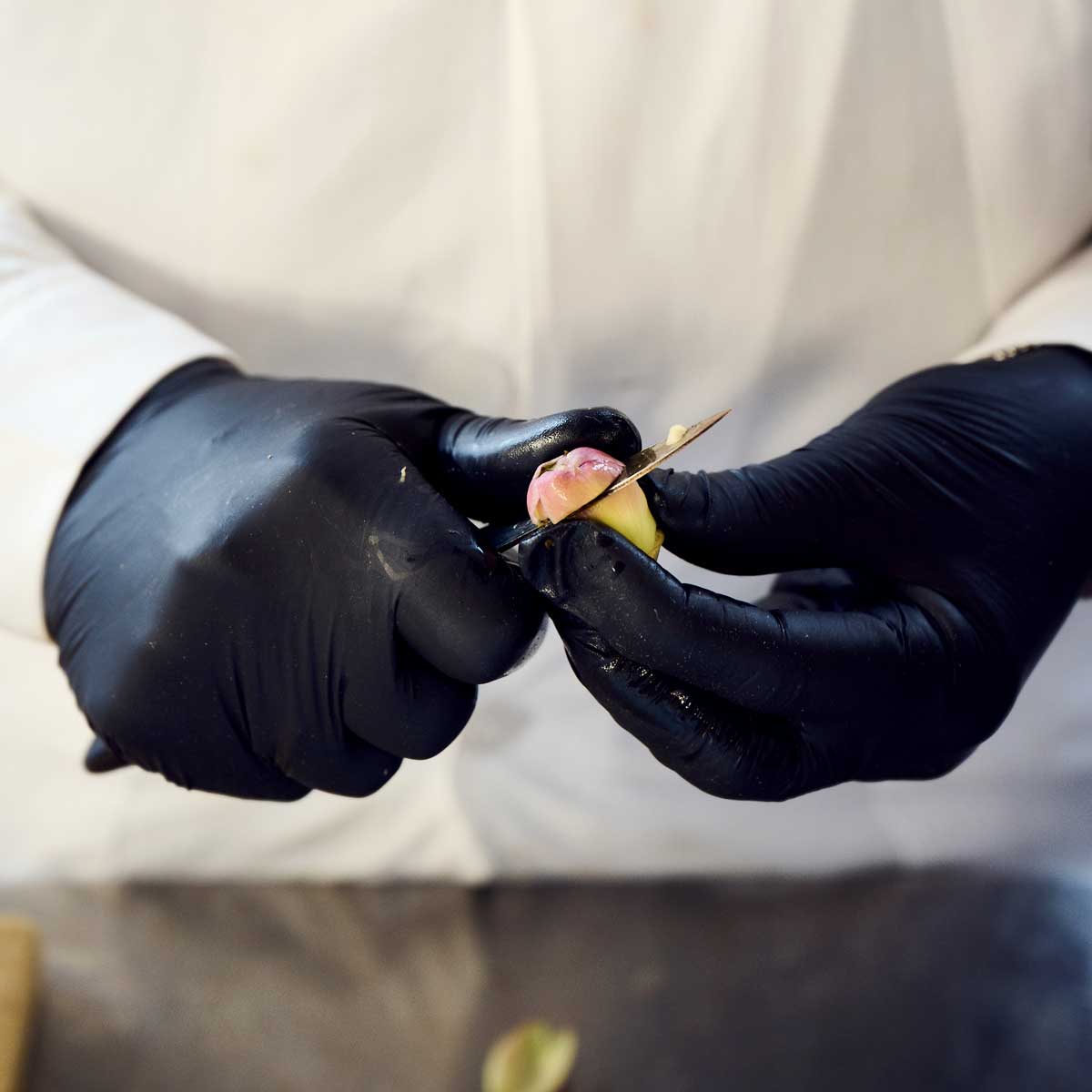 Italienische Produktion Artischockenherzen Paestum Salerno Bio von Di Bennardo