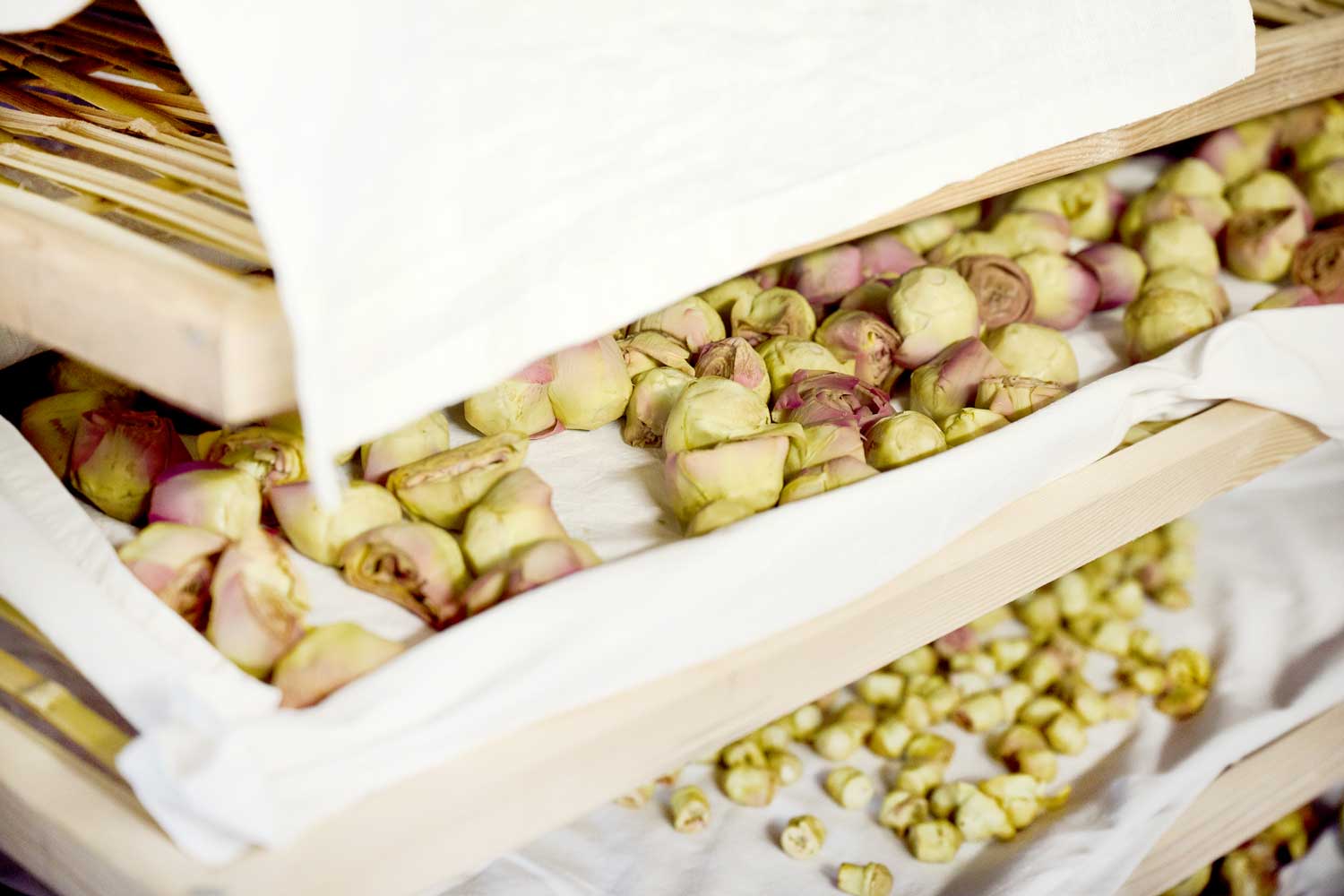 Italienische Trocknung Mini Artischocken Paestum Salerno von Di Bennardo