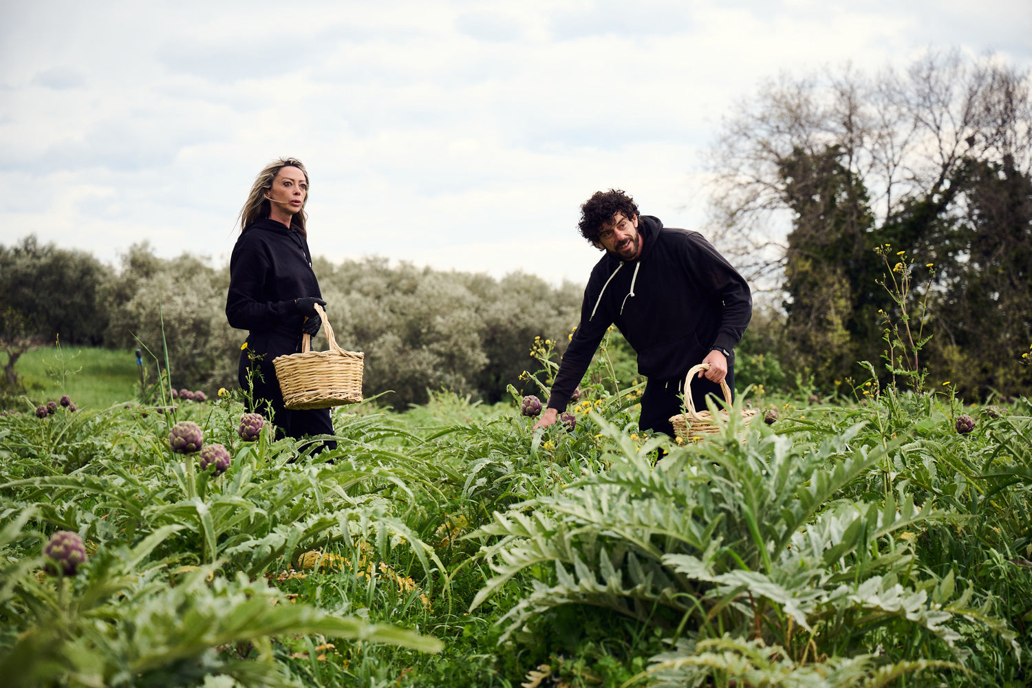 Italienische Handernte Artischocken Paestum Salerno von Di Bennardo