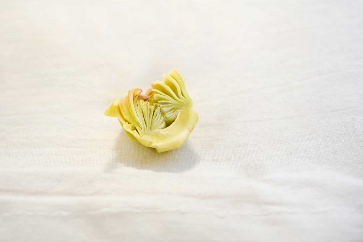 Italienisches Artischockenherz Paestum Salerno Bio von Di Bennardo