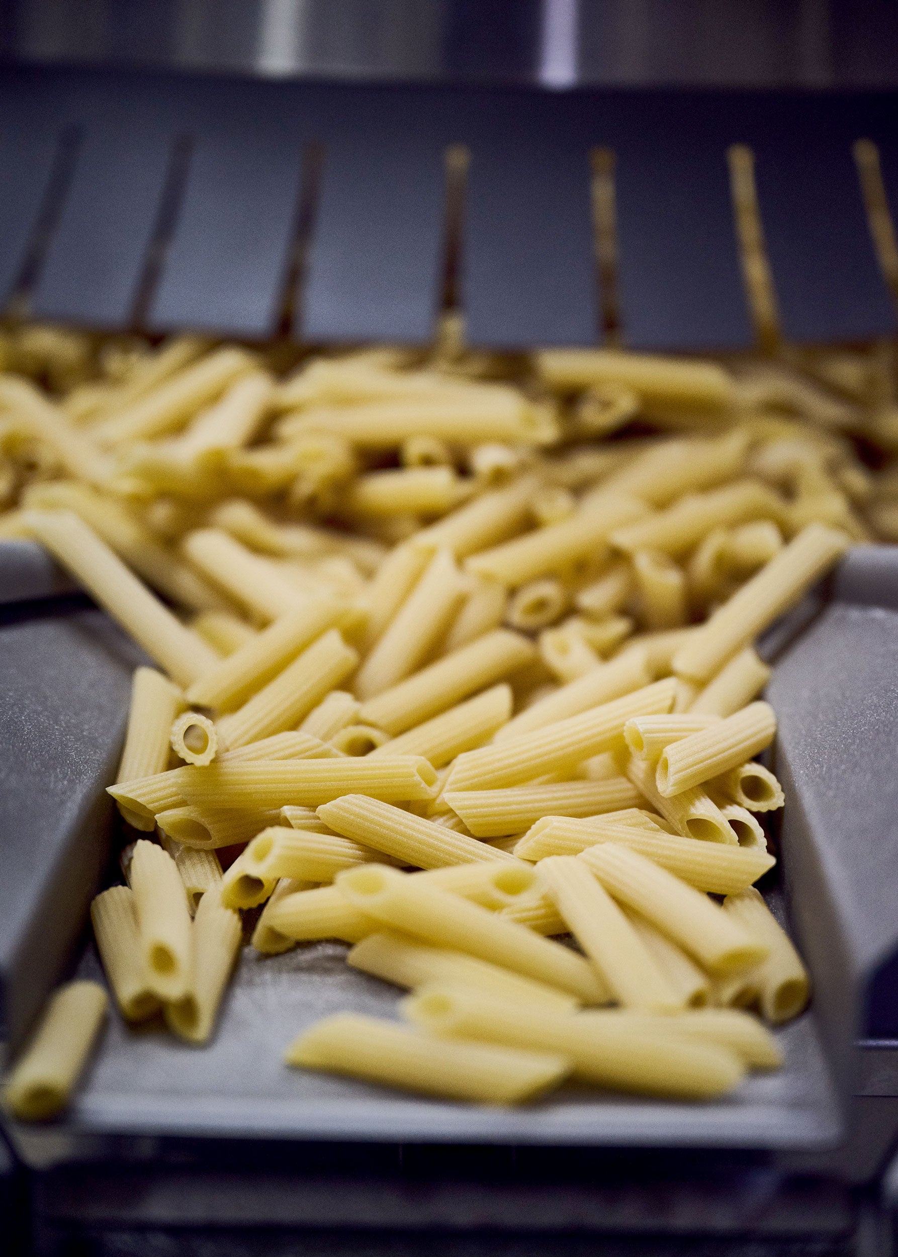 Italienische Penne Hartweizen Bio ab Produktion aus Gragnano von Di Bennardo 