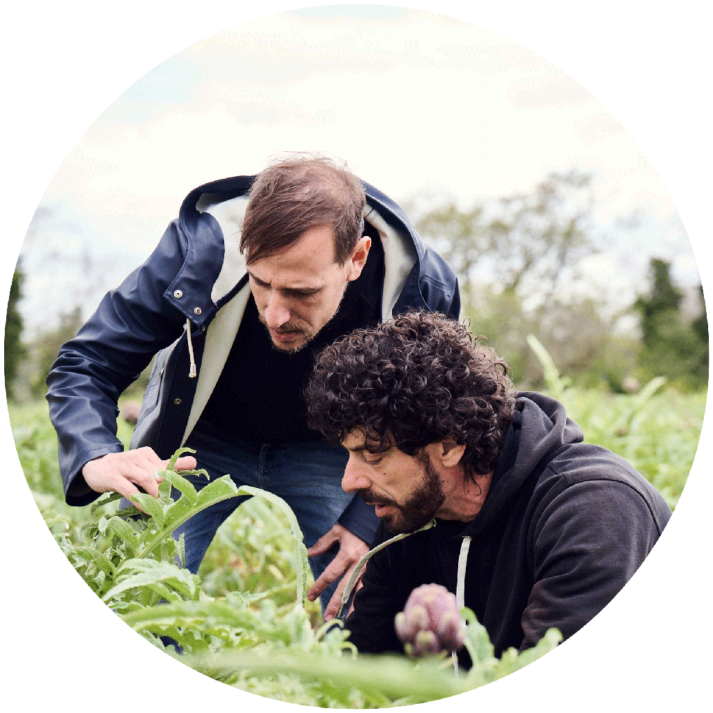 Giovanni Di Bennardo bei der Ernte in Italien